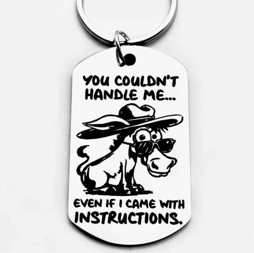 3/$25 You Couldn't Handle Me Even If I Came With Instructions Stainless Keychain